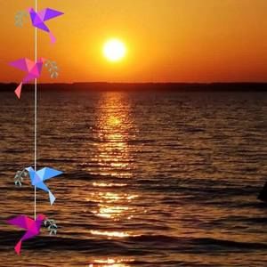 Meet your Posher, Jeannine